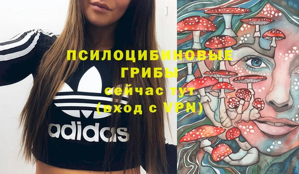 эйфоретик Карталы