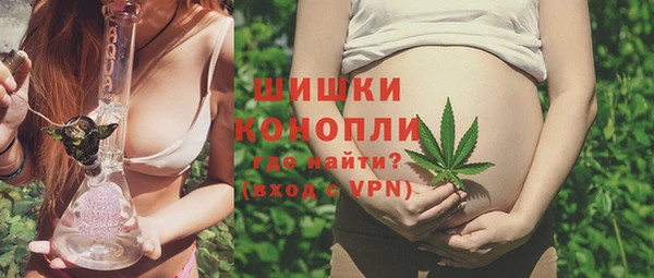 PSILOCYBIN Каменка