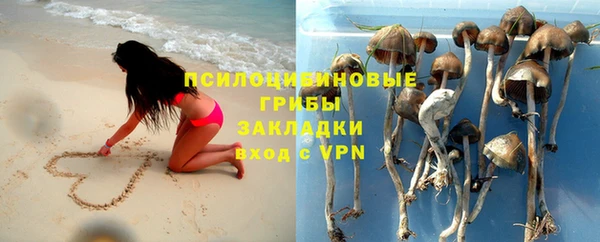 бутират Дмитриев