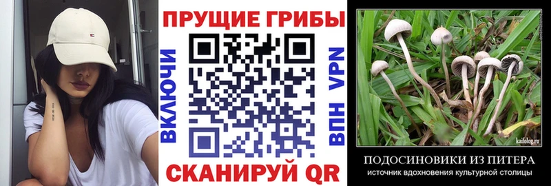 hydra как войти  наркота  Старый Крым  Галлюциногенные грибы мухоморы 